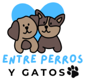 Tienda de Mascotas.